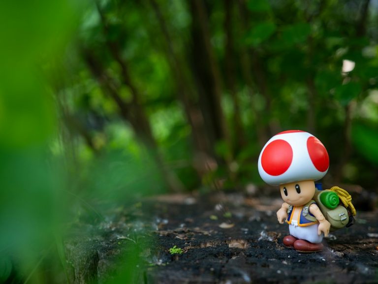 The Future of Gaming: Innovative Products to Watch For